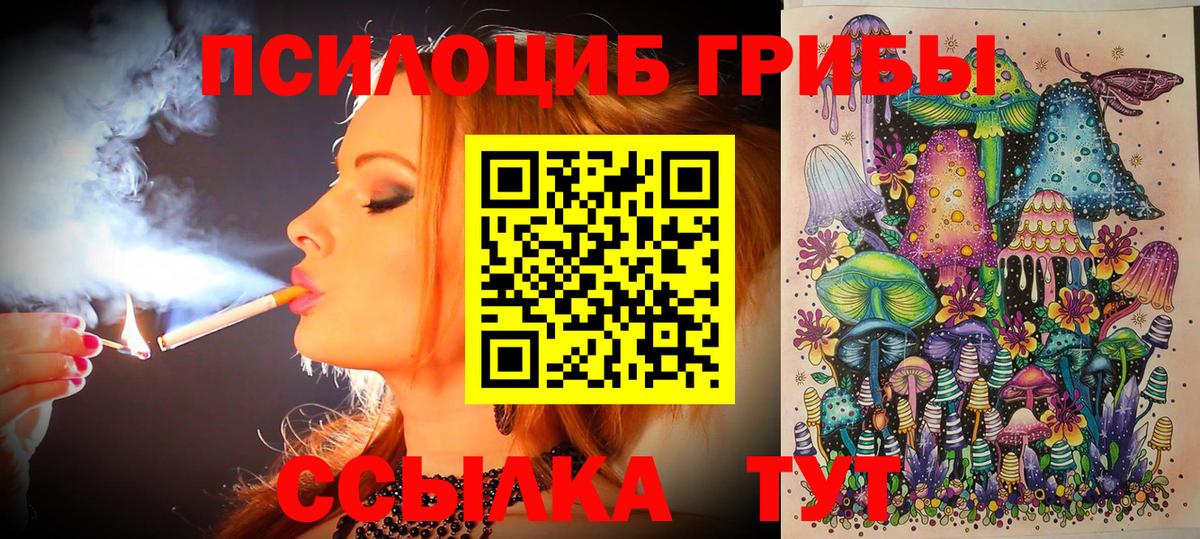 Улан-Удэ  Галлюциногенные грибы MAGIC MUSHROOMS  Вход с VPN 